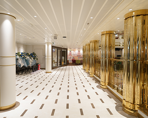PANEL CEILINGS PROJECTS 022
