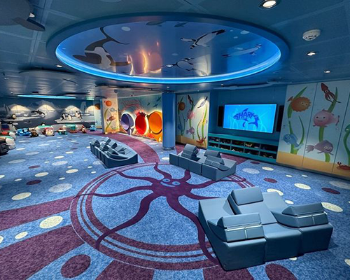 PANEL CEILINGS PROJECTS 026