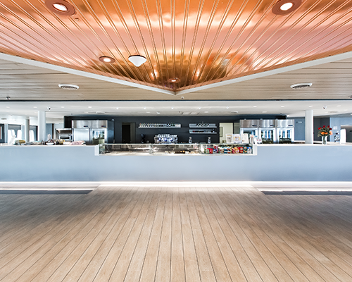 PANEL CEILINGS PROJECTS 031