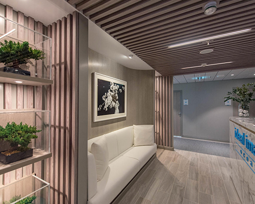PANEL CEILINGS PROJECTS 038