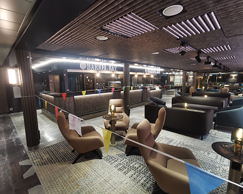 PANEL CEILINGS PROJECTS 050