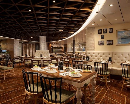 PANEL CEILINGS PROJECTS 051