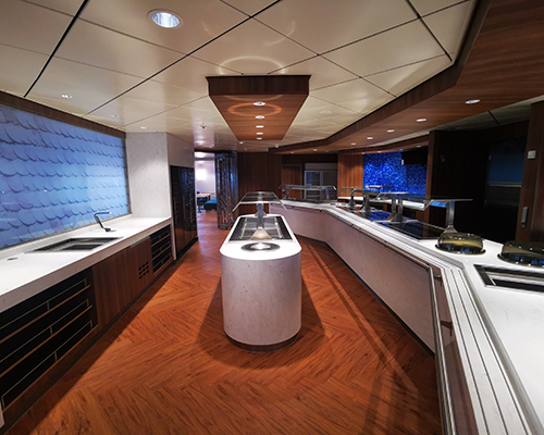 PANEL CEILINGS PROJECTS 064