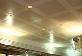 PANEL CEILINGS - BUILDINGS 010