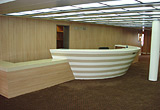 PANEL CEILINGS - SHIPS 003